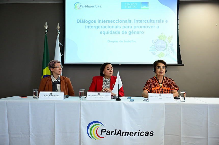 Encontro internacional debate caminhos para equidade de gênero na política
