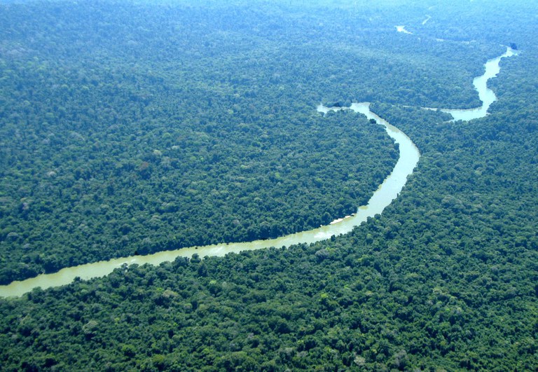 Entenda o Fundo Florestas Tropicais para Sempre, proposta encabeçada pelo Brasil