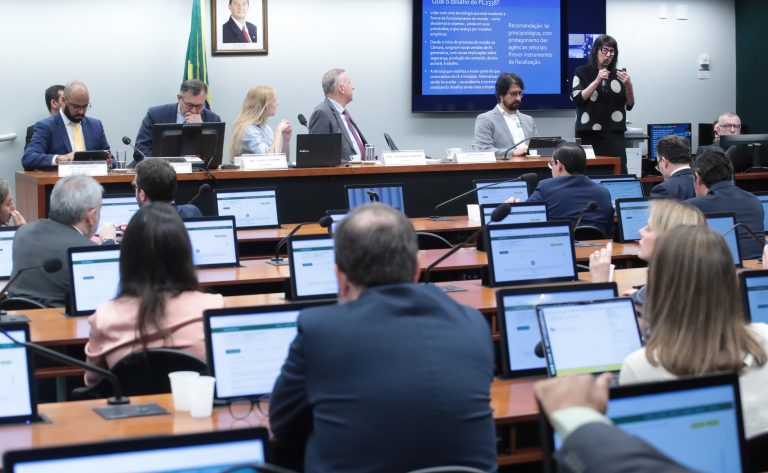 Audiência Pública - Sistemas de IA, IA no serviço público e em infraestruturas críticas.