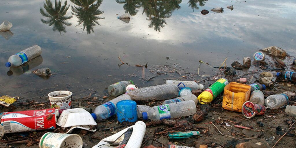 Fiocruz alerta para contaminação da Amazônia por plásticos