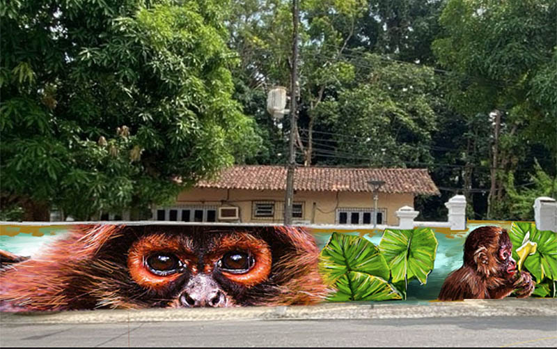 Galeria de arte a céu aberto: Museu Goeldi convida para um domingo festivo