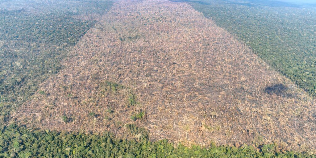 MMA e Inpe lançam sistema para monitoramento diário da Amazônia