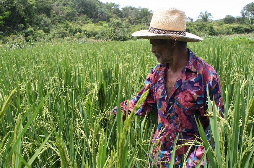 MP libera R$ 38 milhões para assistência técnica e extensão rural no Norte