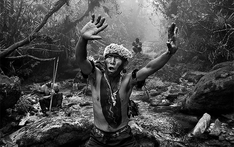 Museu das Amazônias será aberto no sábado (4/10), com contribuição do Museu Goeldi