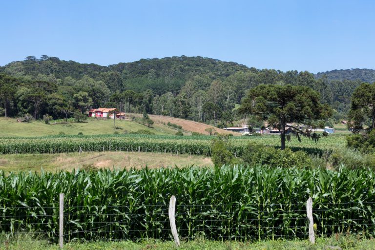 Area rural no Brasil