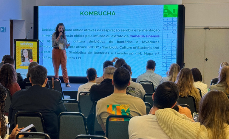 Regulamentação impulsiona setor de kombucha, que cresce 923% em seis anos no Brasil