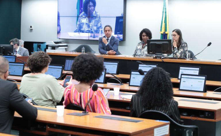 Audiência Pública - Consequências socioeconômicas da escravidão no Brasil e fundamentos para a reparação.