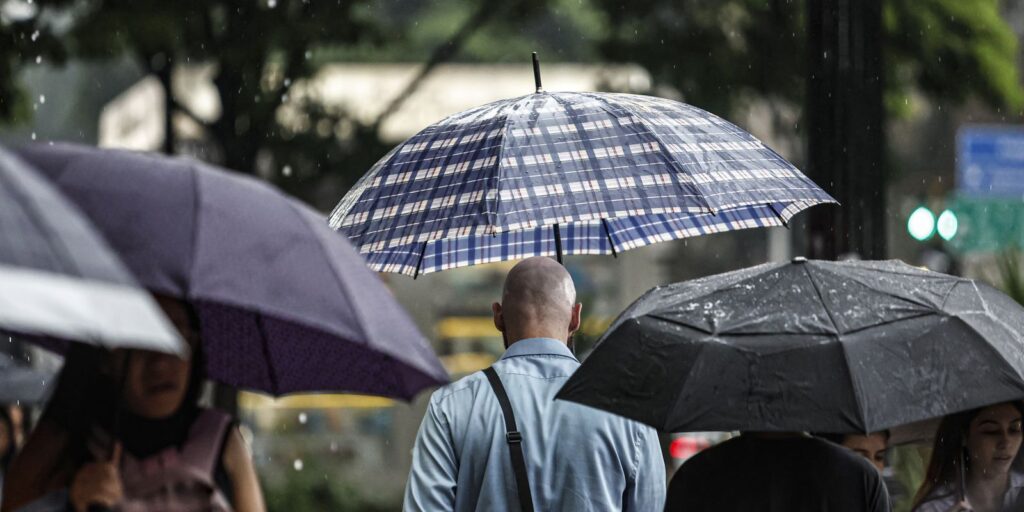 SP: Chuva, ventos fortes e queda de árvores deixam 900 mil sem energia