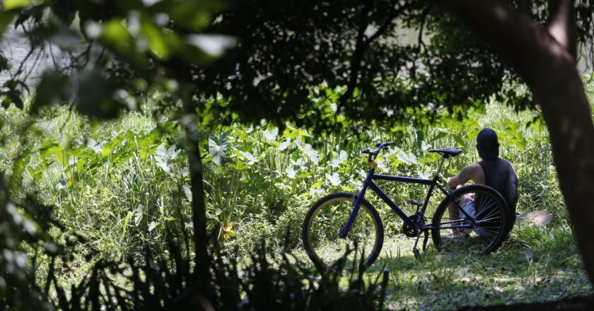 Outono chega com temperaturas acima da média em todas as regiões