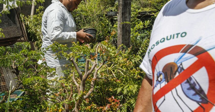 En Brasil casi 70% de los casos de dengue de Latinoamérica y el Caribe