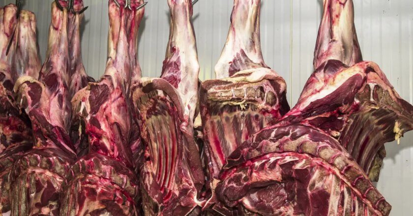 Abate de bovinos no Brasil volta a crescer após dois anos de queda