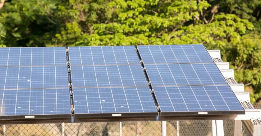 G20 pode combater fome se deixar de investir em energia suja