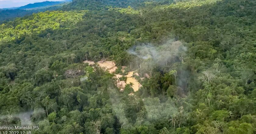 Comissão do Senado aprova porte de arma a agentes da Funai