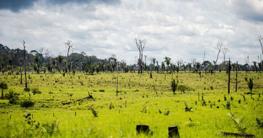 ACTO director: Summit in Brazil to be “Amazon voice”