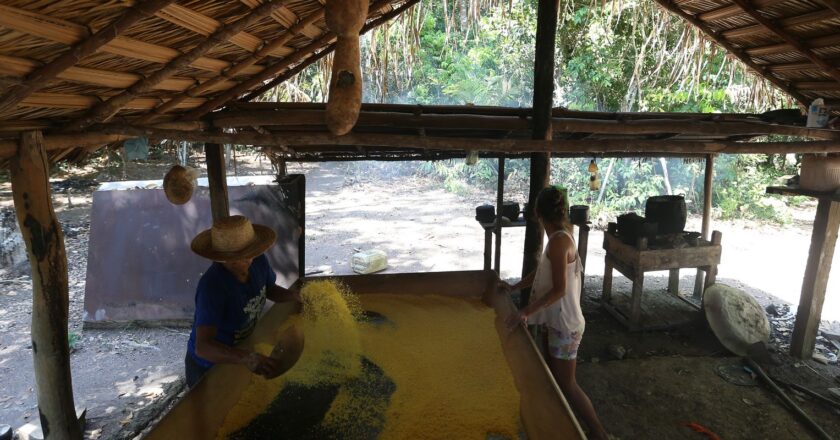 Coalición de bancos promete 4.500 millones en créditos verdes