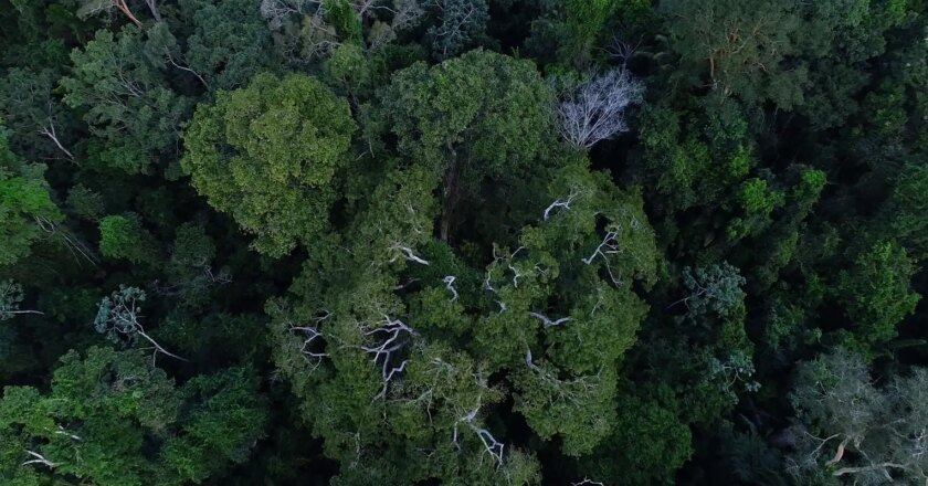 La Amazonía, uno de los focos de la ONU para la Agenda 2030