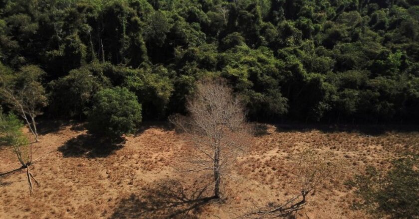 Cumbre Amazónica: países se comprometen a evitar la desertificación