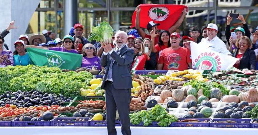Agricultura familiar é oitava maior produtora de alimentos do mundo