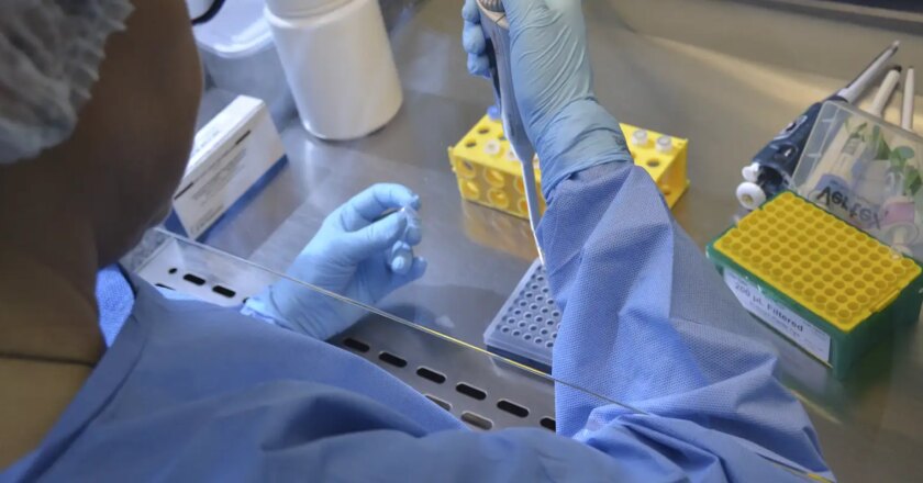 Estudo mostra que vacina contra chikungunya é segura e eficaz