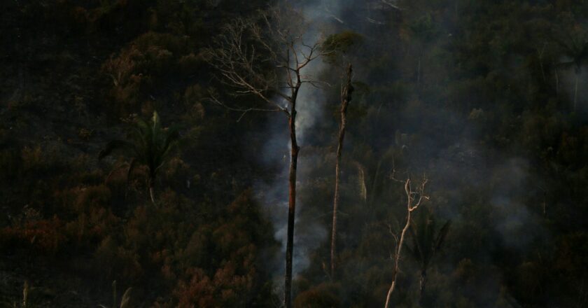 País teve 2,15 milhões de hectares queimados no primeiro semestre
