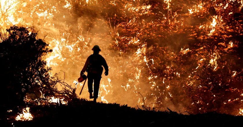 Metodologia com IA identifica focos de incêndio com antecedência