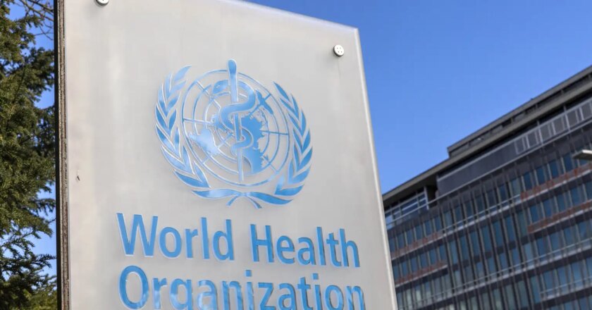 Hepatites virais matam 3,5 mil por dia no mundo, alerta OMS