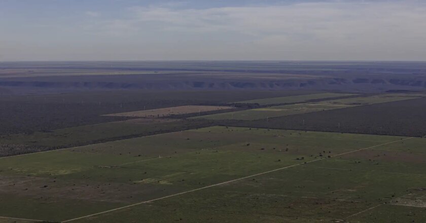 Em meio à expansão do desmatamento, Piauí debate nova lei ambiental