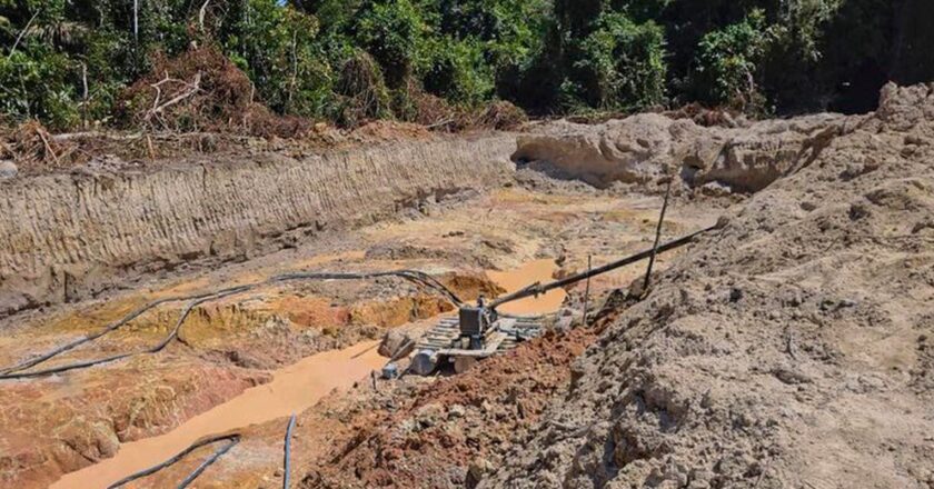 Cumbre: Acuerdo debe evitar punto de no retorno para Amazonia