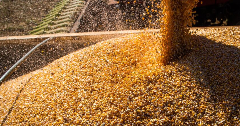 Exportações do agronegócio batem recorde em janeiro