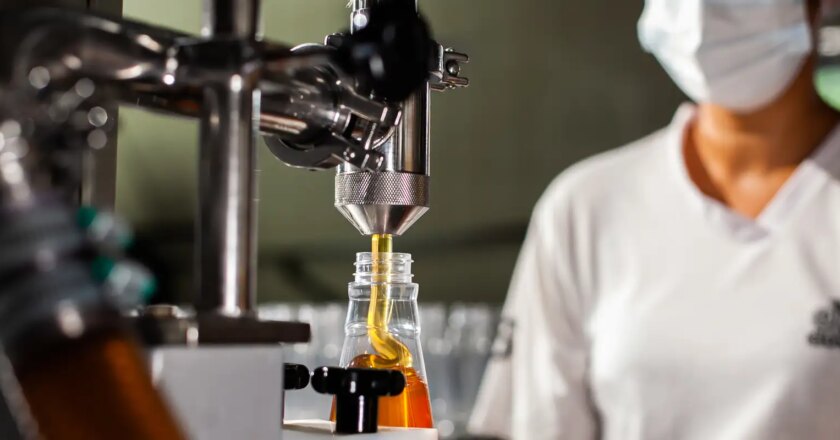 Micro and small businesses create seven out of ten jobs in Brazil