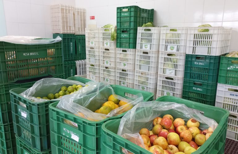 Agricultura publica chamamento para seleção de pequenos produtores familiares
