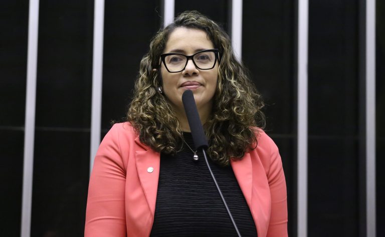 Discussão e votação de propostas legislativas. Dep. Denise Pessôa (PT-RS)