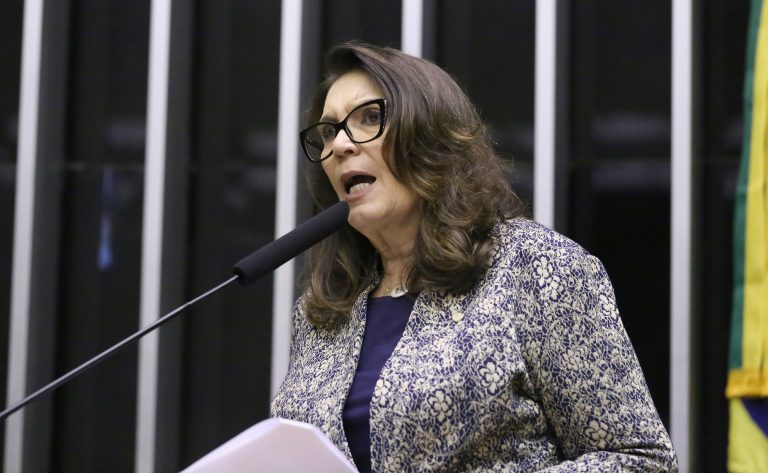 Deputada Bia Kicis (PL-DF) fala no Plenário da Câmara dos Deputados