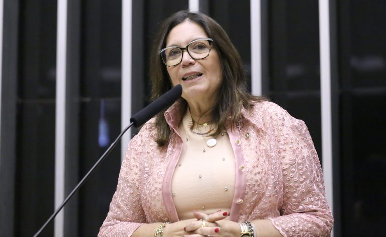 Deputada Bia Kicis fala ao microfone
