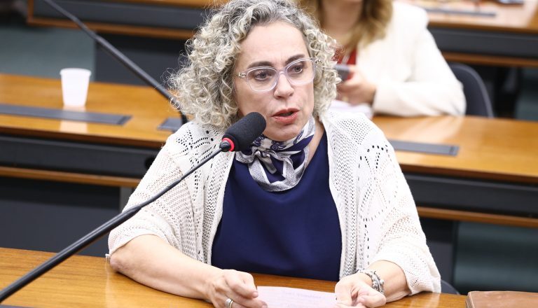 Comissão aprova projeto que autoriza quebra de sigilo para evitar fraude em pensão alimentícia – Notícias