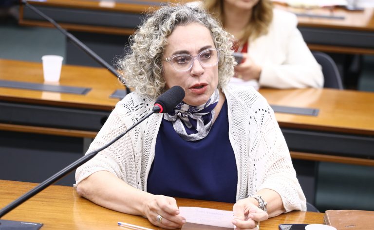 Audiência Pública Interativa - Regulação da Inteligência Artificial na Saúde. Dep. Ana Paula Lima (PL - SC)