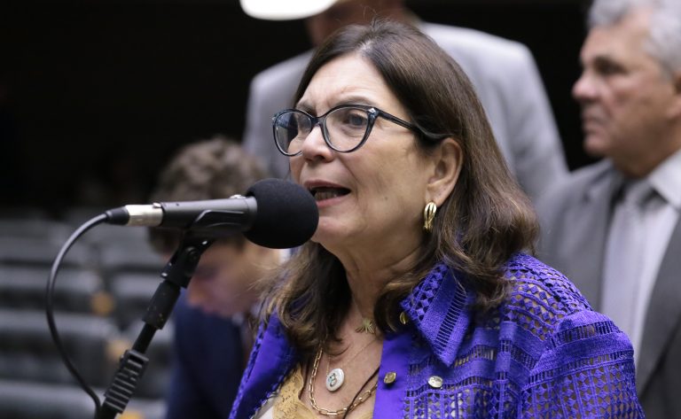 Deputada Bia Kicis (PL-DF) fala no Plenário da Câmara dos Deputados