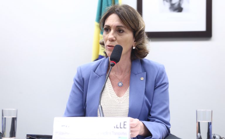 Audiência Pública - Andamento e homologação das obras do aeroporto do Guarujá/SP. Dep. Rosana Valle (PL-SP)