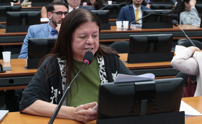 Discussão e votação de propostas legislativas. Dep. Laura Carneiro (PSD-RJ)
