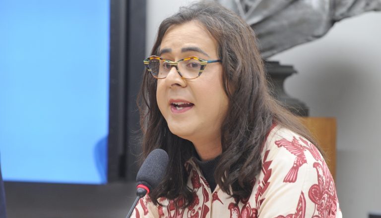 Comissão de Meio Ambiente debate participação indígena nas decisões da COP30 – Notícias