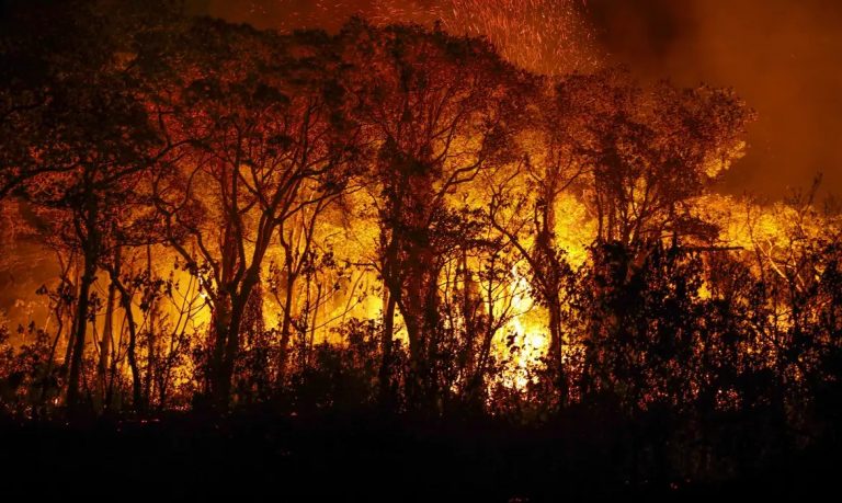 Incêndio no Pantanal