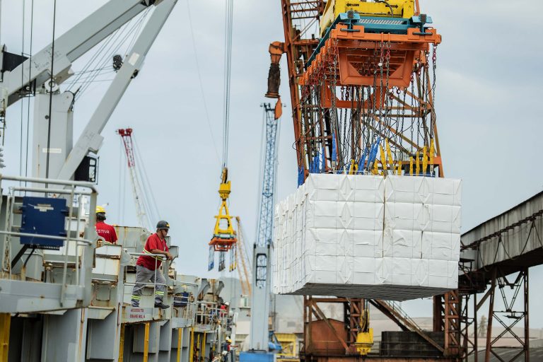 Trabalhadores no Porto de Paranaguá (PR)