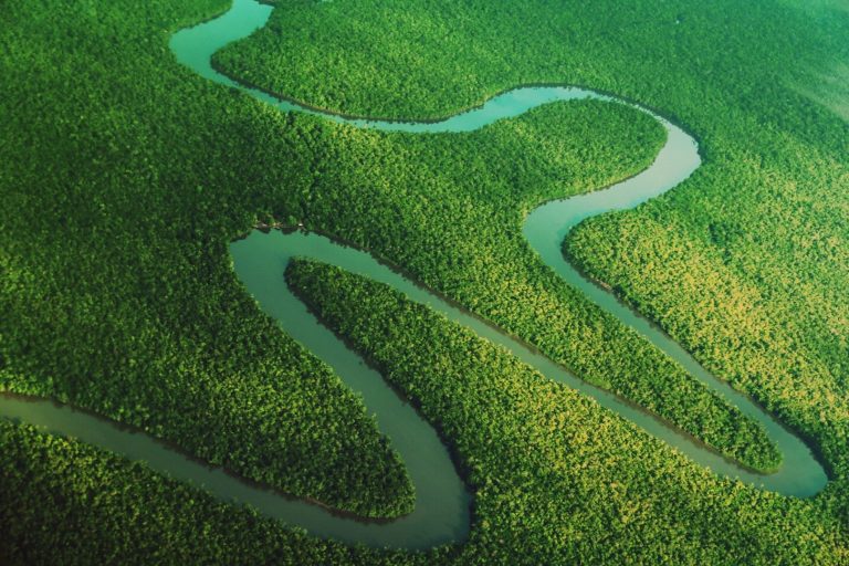 Amazônia paraense. Vista aérea. Rio. Pará. Floresta.