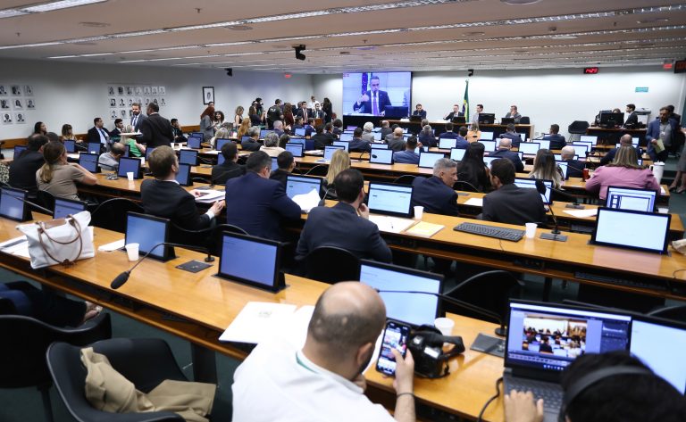 Leitura, discussão e votação de pareceres preliminares.