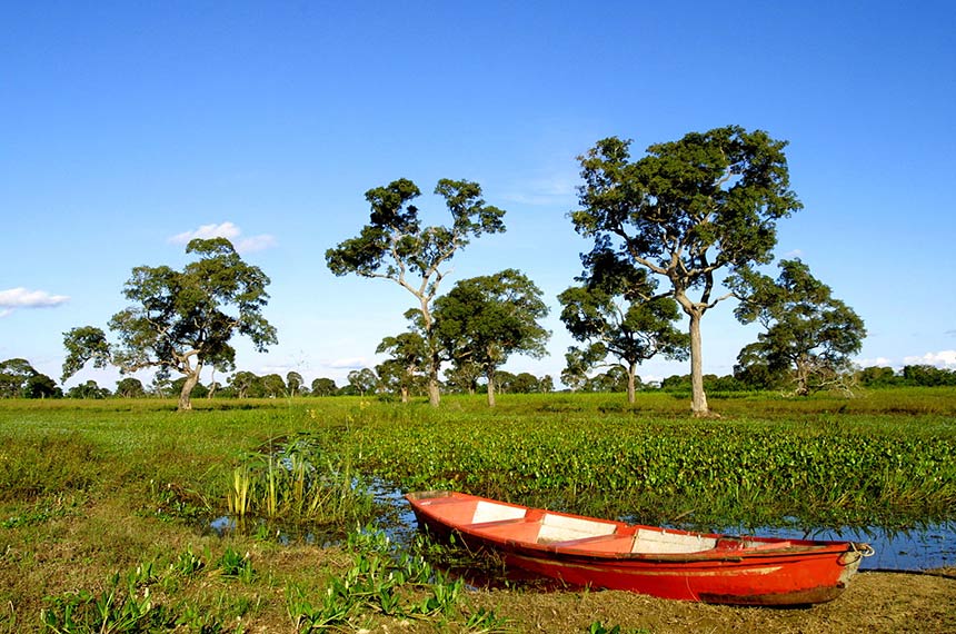 Estatuto do Pantanal é sancionado com 41 vetos — Senado Notícias