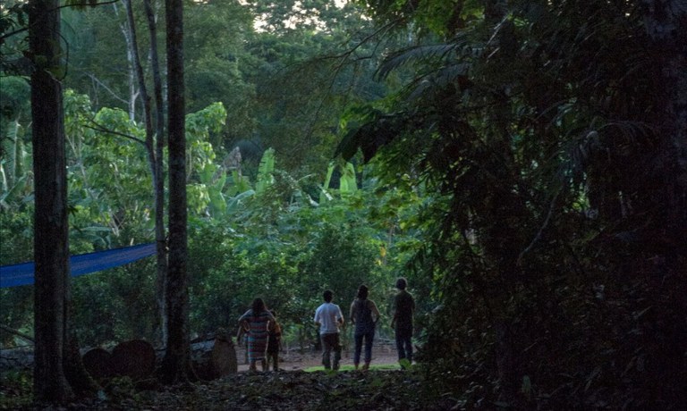 Governo do Brasil mantém ofensiva contra atos ilegais em território indígena em RO