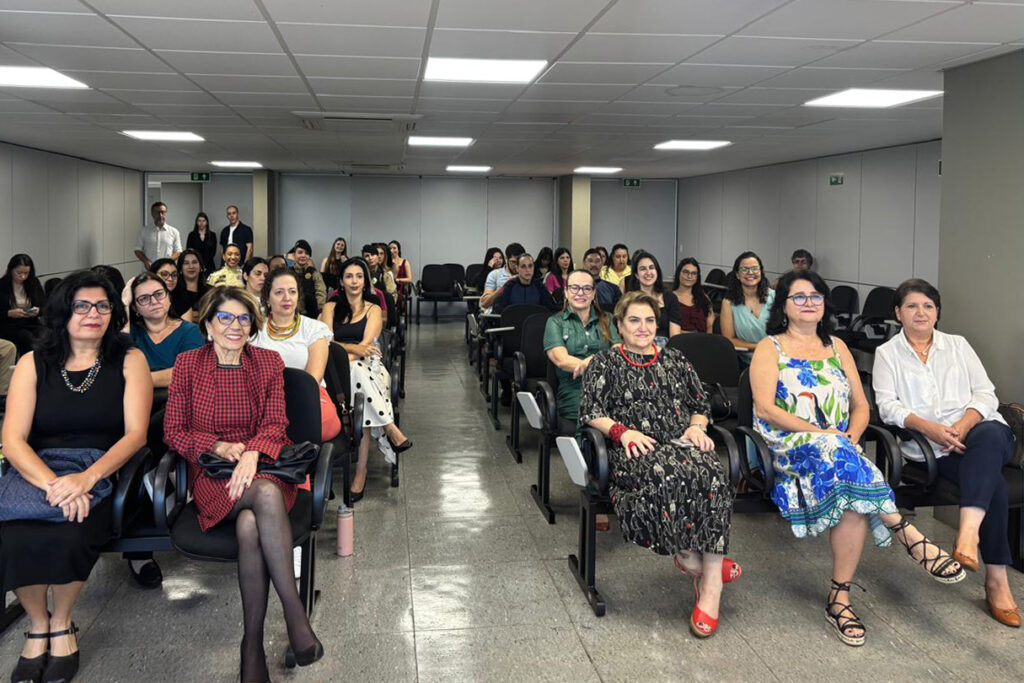 Ministra participa de reunião da Rede de Enfrentamento à Violência contra a Mulher