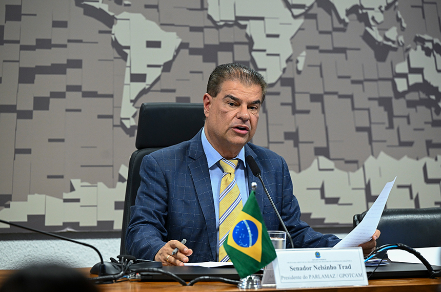 Parlamaz: países amazônicos declaram apoio à COP 30 em Belém