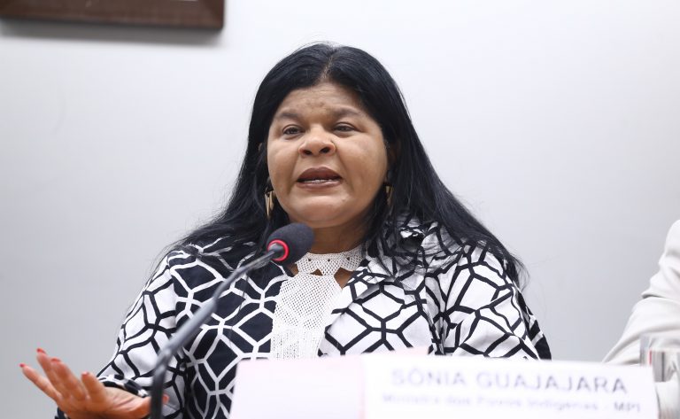 Audiência Pública - A Participação dos Povos Indígenas nas decisões envolvendo a COP30. Ministra de Estado dos Povos Indígenas, Sônia Guajajara