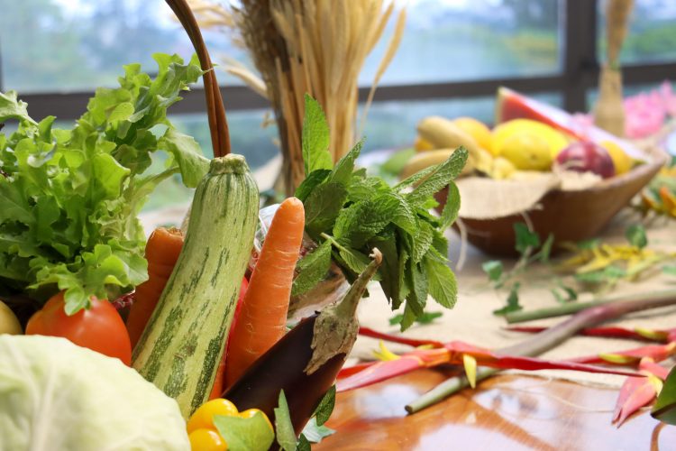 Prefeitura de Londrina realiza abertura da Semana Municipal da Alimentação